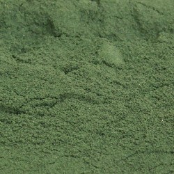 SPIRULINE EN POUDRE