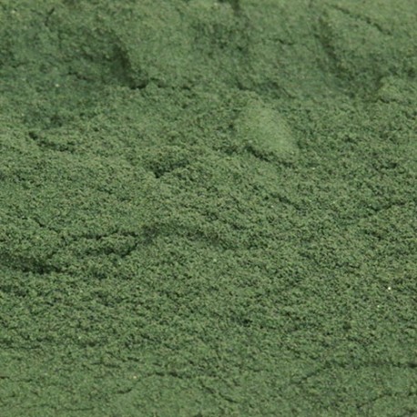 SPIRULINE EN POUDRE