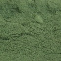 SPIRULINE EN POUDRE