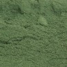SPIRULINE EN POUDRE